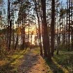 Kleine Ferienoase Am Plauer