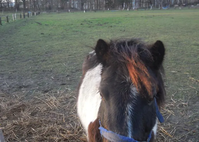 Дом отдыха Kleine Ferienoase Am Plauer Fuenfseen